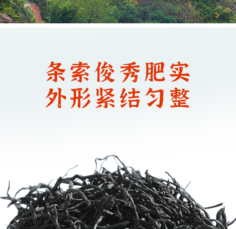 得一茶 正山小种红茶罐装250g