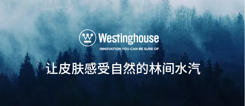 西屋(Westinghouse)加湿器2升便携上加水卧室客厅孕妇婴儿家用办公空调房净化加湿WHE-2580