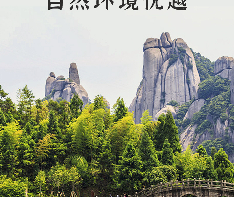 得一茶·香满间贡眉茶礼350g礼盒装