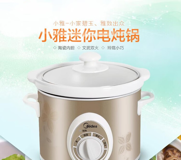 美的（Midea）电炖锅2L慢炖家用保温机械式电炖锅 文火锅煲 家用防溢 两档BGH20A白瓷