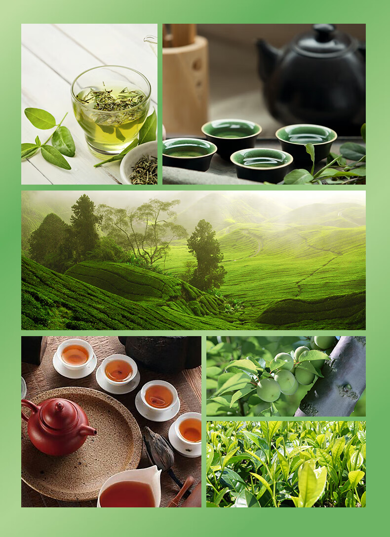 康师傅 清茶饮料整箱 蜂蜜绿茶12*330ml