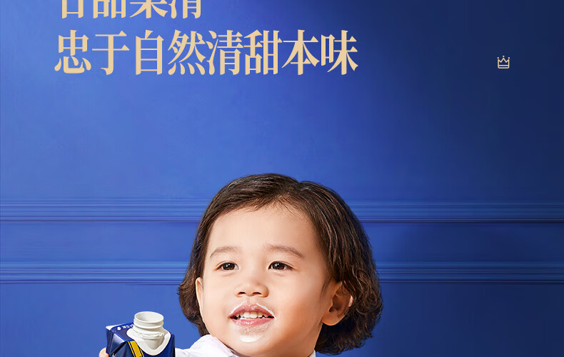 认养一头牛 A2β-酪蛋白高端纯牛奶 员工福利 企业内购250ml * 10盒
