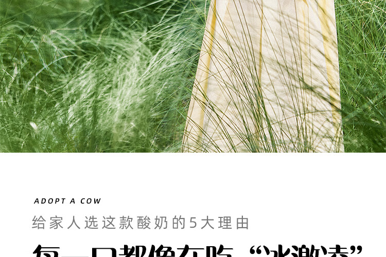 认养一头牛 常温酸奶 员工福利 企业内购原味法式酸奶200g*12盒*2提