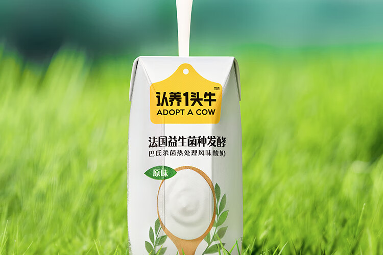 认养一头牛 常温酸奶 员工福利 企业内购原味法式酸奶200g*12盒*2提