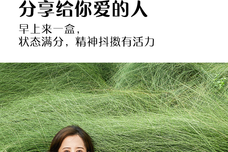 认养一头牛 常温酸奶 员工福利 企业内购原味法式酸奶200g*12盒*2提