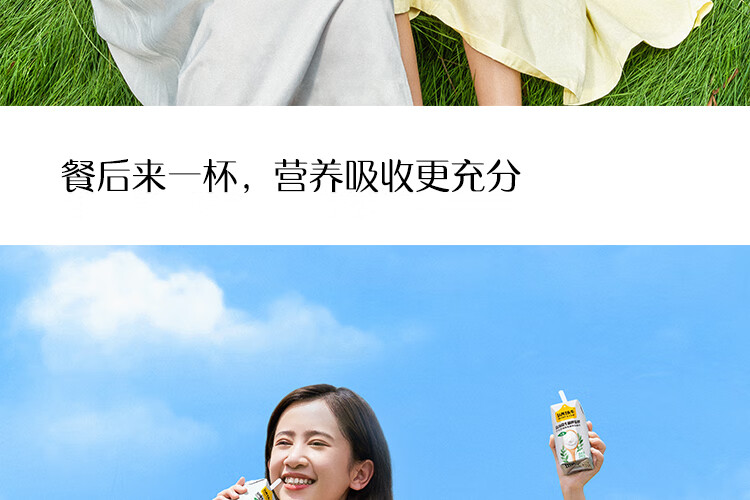 认养一头牛 常温酸奶 员工福利 企业内购原味法式酸奶200g*12盒*2提