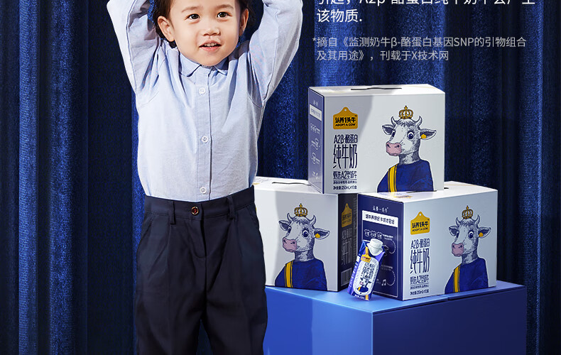 认养一头牛 A2β-酪蛋白高端纯牛奶 营养早餐 送礼佳选 250ml * 10盒