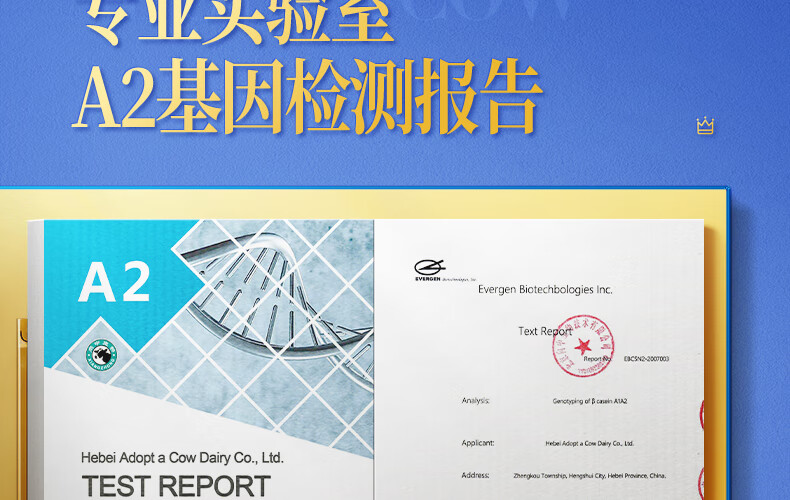 认养一头牛 A2β-酪蛋白高端纯牛奶 营养早餐 送礼佳选 250ml * 10盒