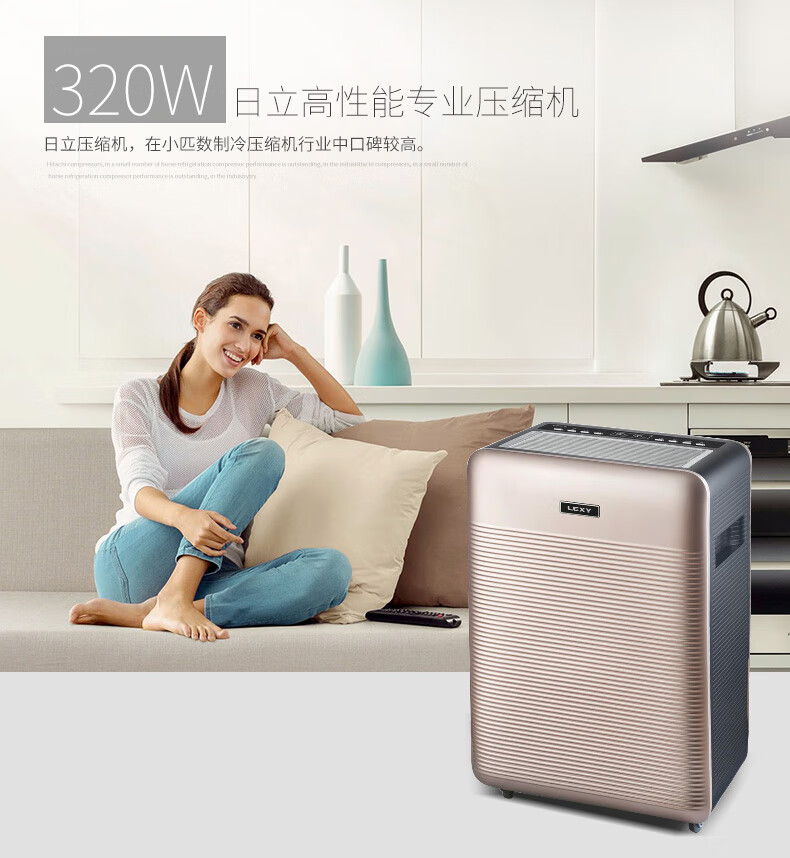 莱克（LEXY）除湿机 DH200 家用抽湿机 别墅 卧室 办公室 低噪干衣地下室 抽湿 除湿 吸湿
