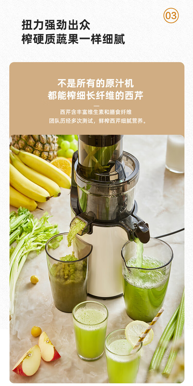 小熊（Bear）原汁机 家用多功能电动榨汁机 全自动冷压炸果汁果蔬机 渣汁分离 YZJ-C02S5小熊