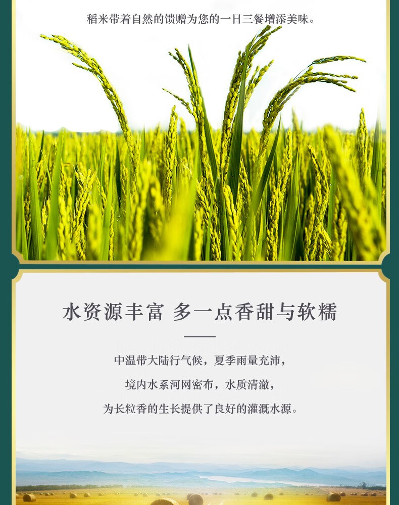 柴火大院 长粒香米5kg