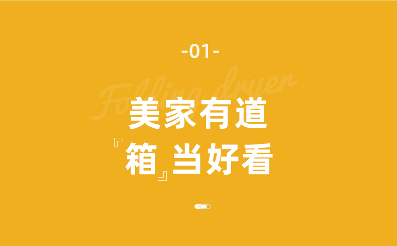 东菱（Donlim）烘干机小型便携式干衣机家用宿舍内衣裤除螨风干神器婴儿烘衣物可折叠DL-1216 薄荷绿
