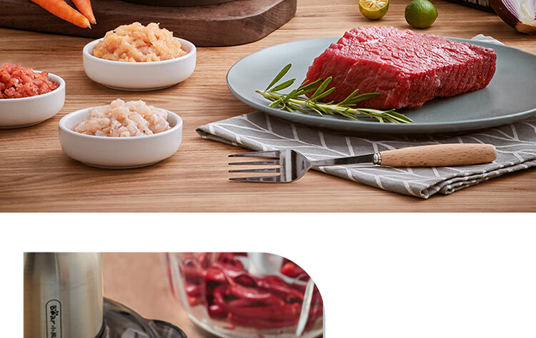 小熊（Bear）绞肉机家用 绞馅机 碎肉机 电动多功能料理搅拌打肉饺子肉馅 蒜蓉机不锈钢 QSJ-C04V3 2.5L小熊