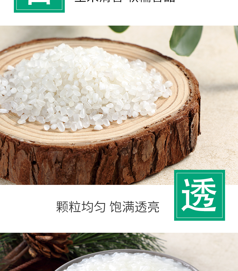 十月稻田 粥米1kg*2