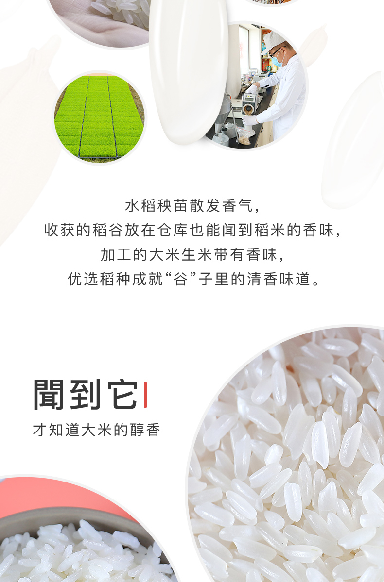 十月稻田 稻花香5kg
