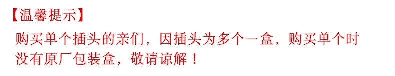公牛（BULL）插头/电源插头插座/无线/自行接线 GNT-10L1S二脚10A插头(独立包装)