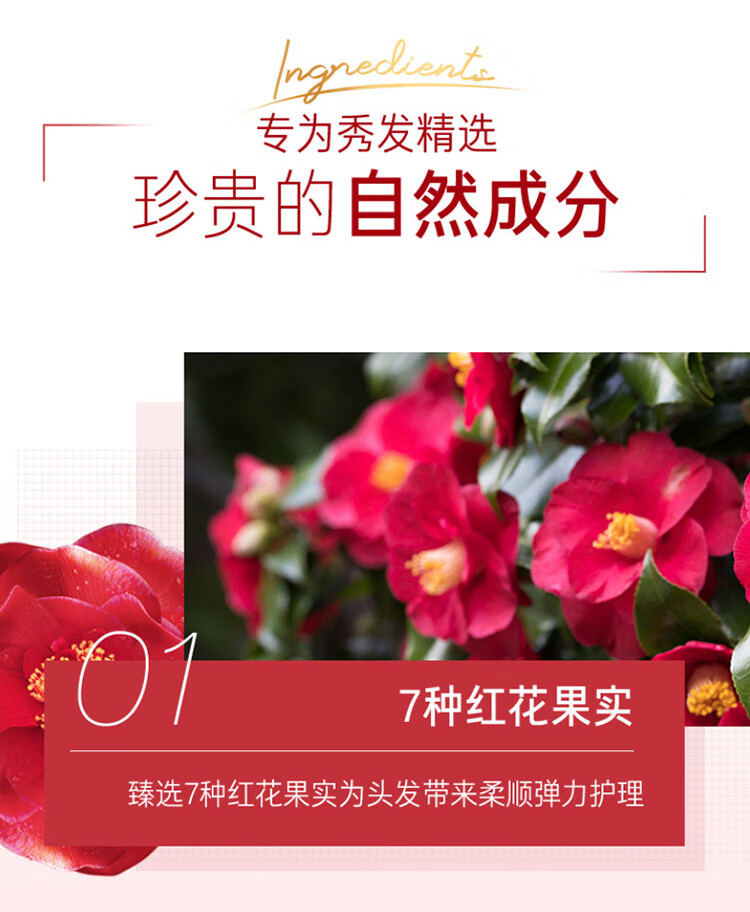 吕 含光耀护营润修护洗发水400ml(红吕)