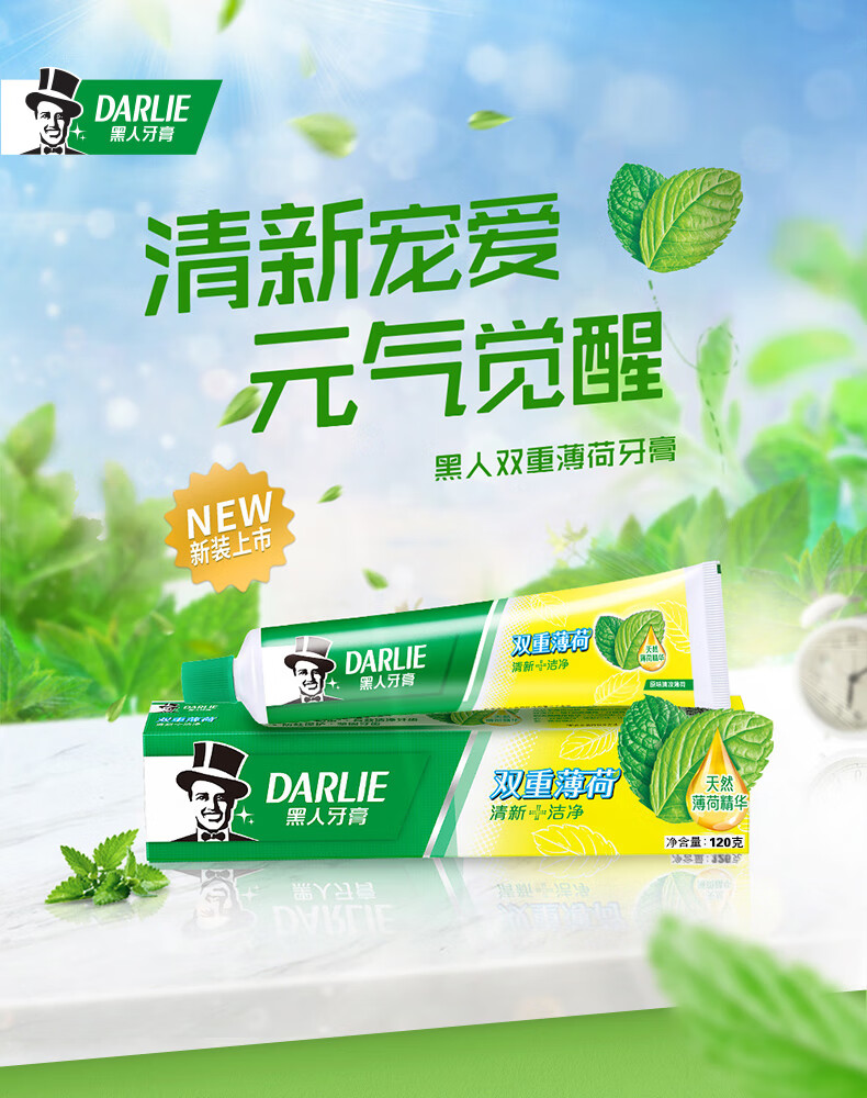 好来（DARLIE）牙膏清洁套装 双重薄荷牙膏120g+柔丝深洁牙刷*2支