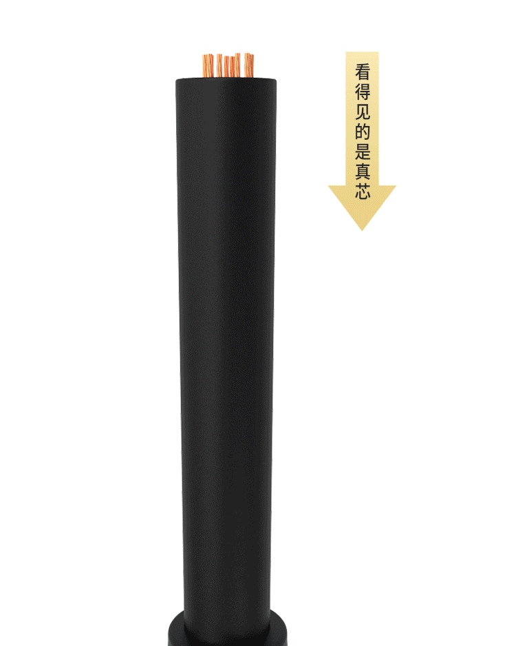 SAMZHE山泽 HDMI线2.0版 4K高清线 Premium认证18Gbps 投影仪电脑 1米10SM4 HDMI线2.0版/