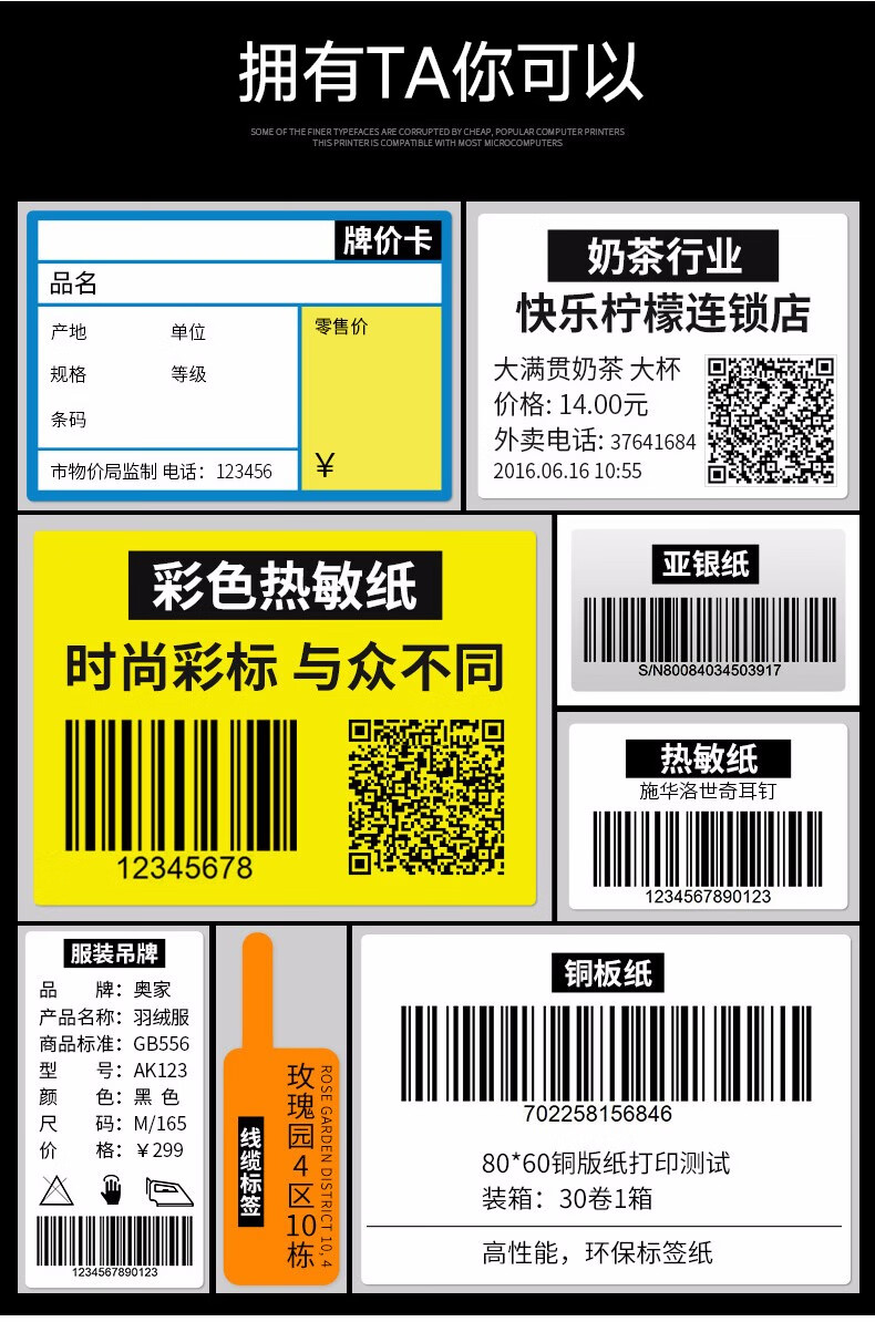 博思得（POSTEK）C168标签打印机 不干胶打印机热敏 固定资产标吊牌条码机 300S（300dpi）-含标签碳带