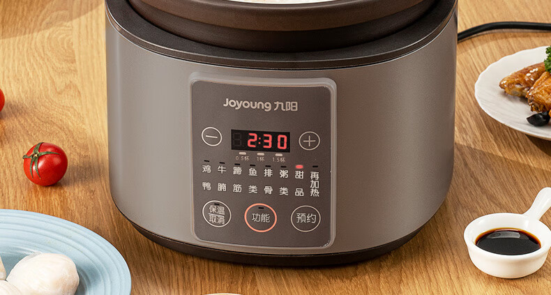 九阳（Joyoung）电炖锅2小时快炖4L紫砂内胆家用全自动智能旋控预约定时DG40Z-GD730 摩卡棕