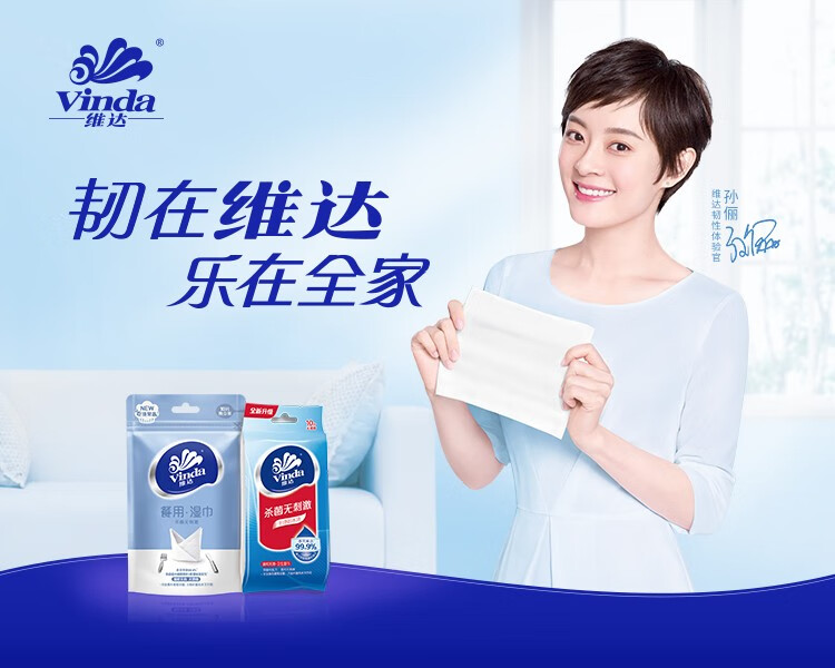 维达（Vinda）VW1009A维达【去菌】湿巾（单片装）【5包/提】 1提