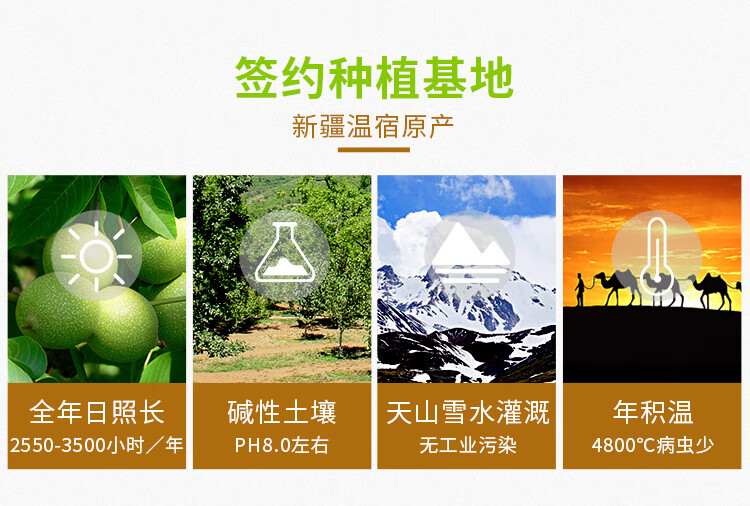 西域美农 休闲零食薄皮核桃500g*3袋