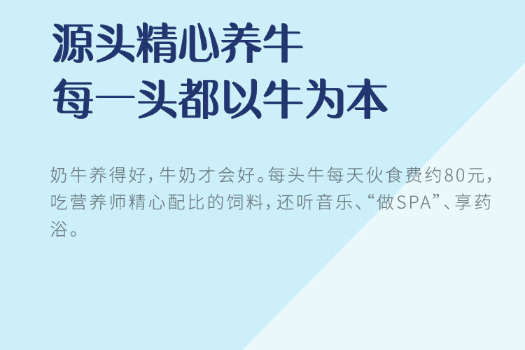 认养一头牛法式风味高端酸奶 员工福利 企业内购 原味230g*10瓶