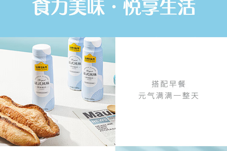 认养一头牛法式风味高端酸奶 员工福利 企业内购 原味230g*10瓶*2提