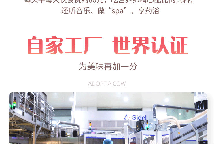 认养一头牛法式风味酸奶 员工福利 企业内购 原味+白桃燕麦味230g*10瓶共2提