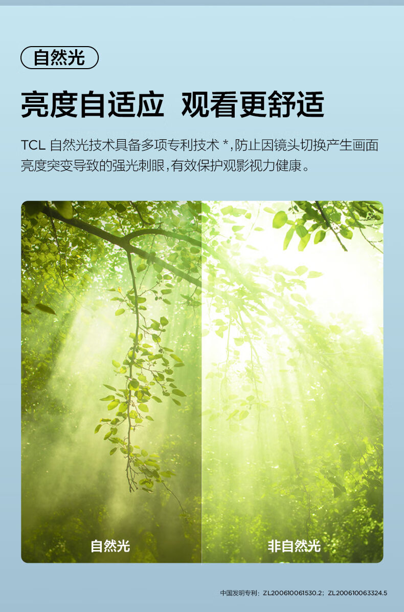 TCL 32英寸高清电视 金属背板 全景全面屏 DTS双解码 AI音画 一键投屏 32G50E