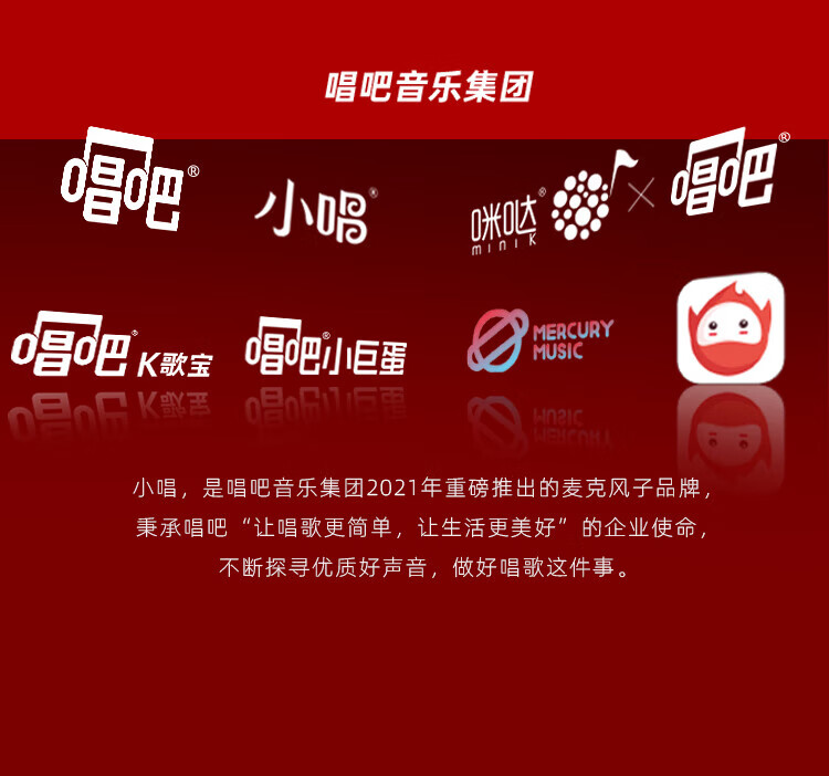 唱吧 K歌宝小唱C10 百灵鸟小巨蛋 无线蓝牙话筒音响一体麦克风 送礼家庭儿童K歌KTV电脑手机录音 小唱C10 白