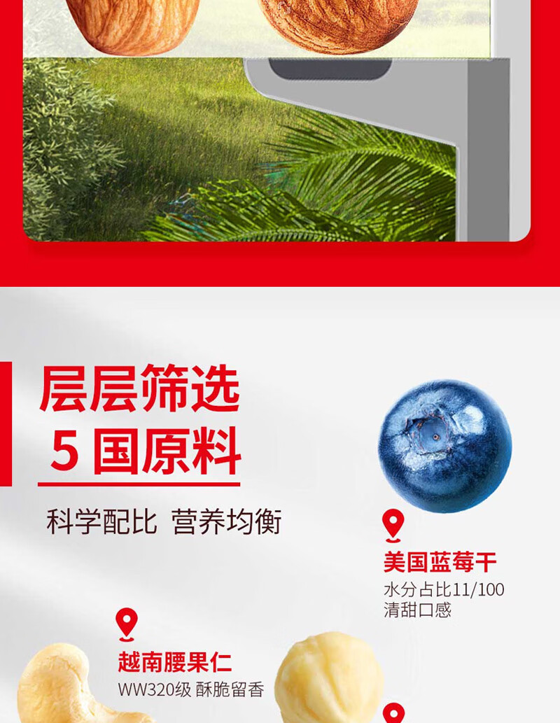沃隆休闲零食坚果炒货办公室小吃每日坚果A成人款500g 25克*20袋