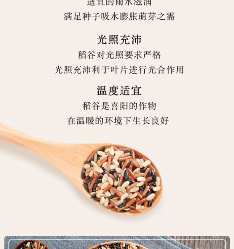 柴火大院三色糙米 (杂粮米 糙米 黑米 五谷杂粮 粗粮主食 大米伴侣) 2kg