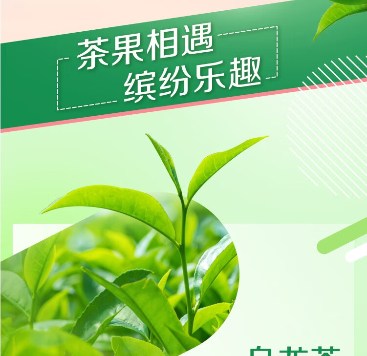 蒙牛营养早餐 真果粒高端缤纷牛奶 芒果百香果味240ml*10