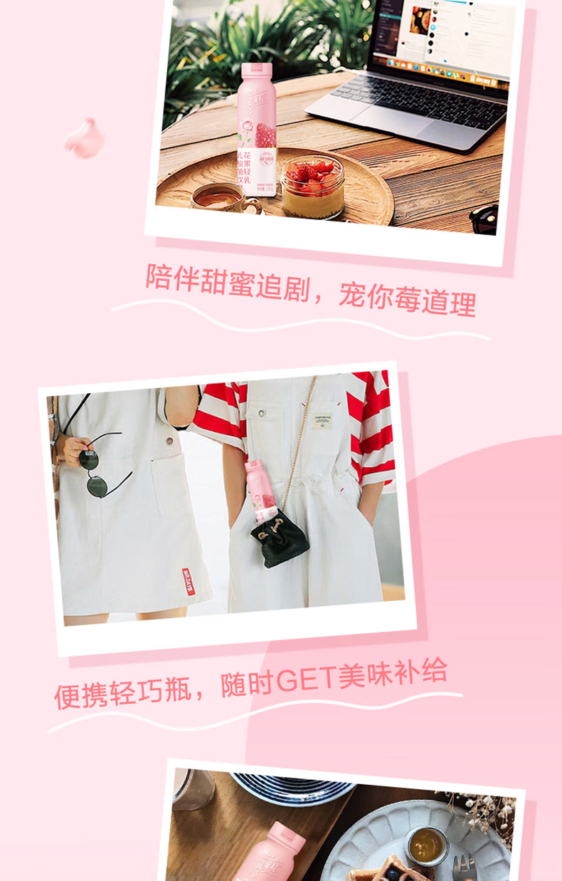 蒙牛营养早餐 乳酸菌饮品 真果粒花果轻乳 玫瑰草莓味230g*10