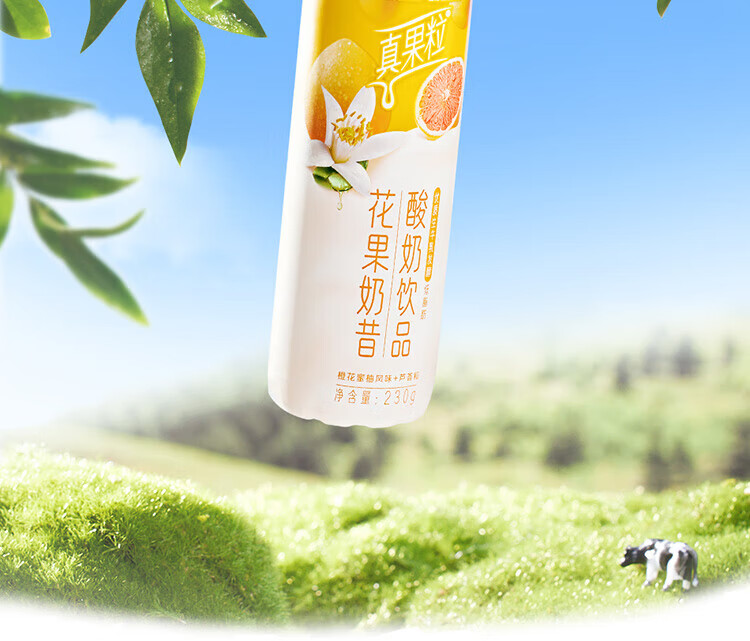 蒙牛营养早餐 真果粒 果粒牛奶 黄桃味250ml*12