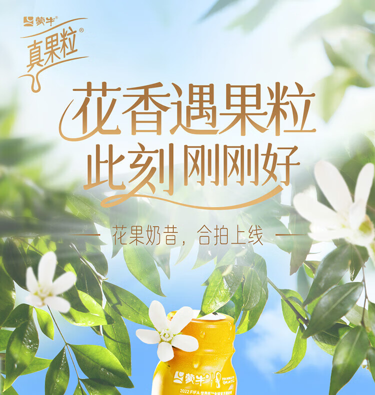 蒙牛营养早餐 真果粒 果粒牛奶 黄桃味250ml*12