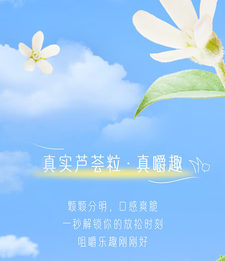 蒙牛营养早餐 真果粒 果粒牛奶 黄桃味250ml*12