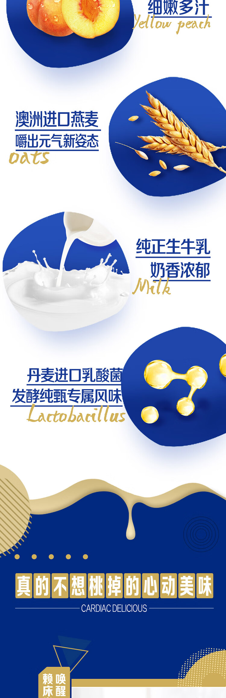 蒙牛营养早餐 纯甄燕麦黄桃果粒风味酸奶笑脸包200g*10