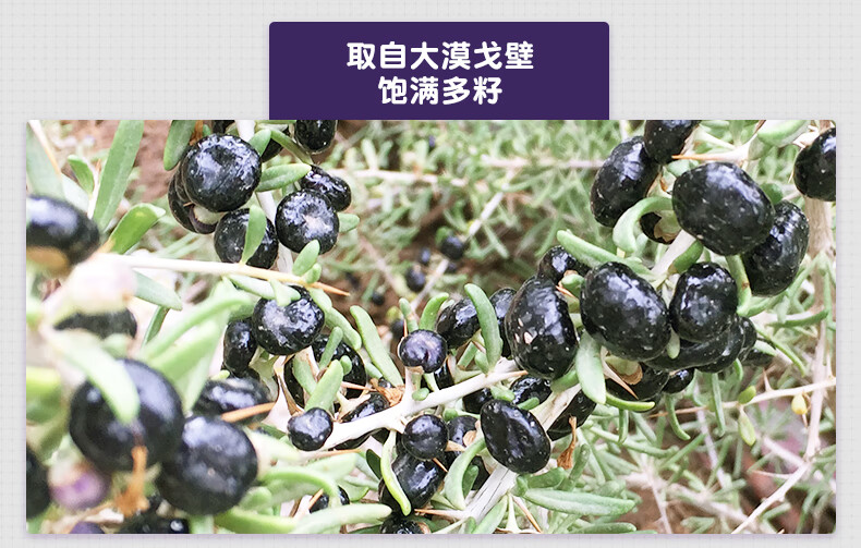 西域美农 黑枸杞250g*2罐 新疆黑果枸杞子富含花青素