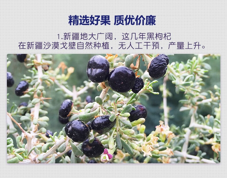 西域美农 黑枸杞250g*2罐 新疆黑果枸杞子富含花青素