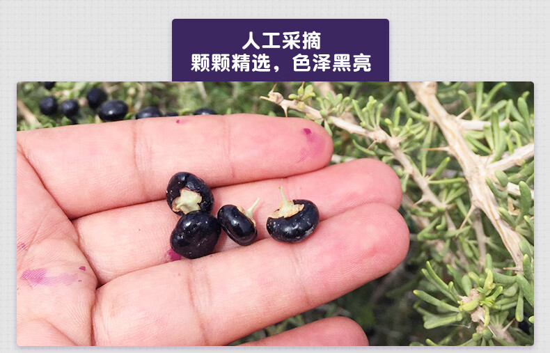 西域美农 黑枸杞250g*2罐 新疆黑果枸杞子富含花青素