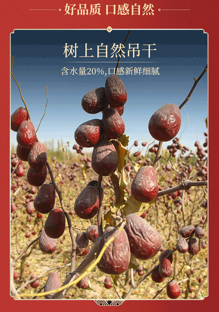 西域美农 若羌灰枣500g*2袋 自然吊干新疆红枣 蜜饯果干零食