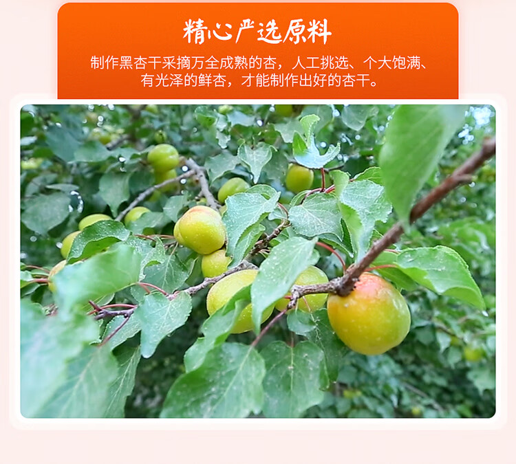 西域美农 无核杏干250g*2袋 休闲零食蜜饯