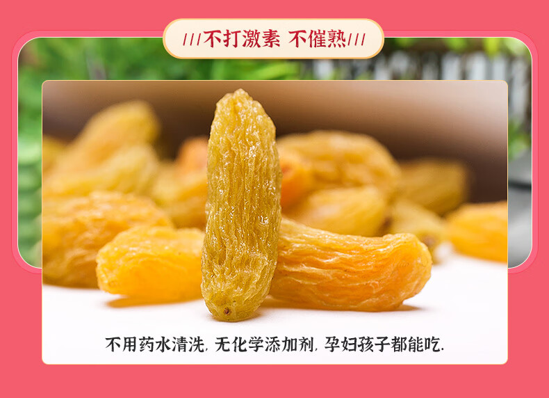 西域美农 古澈玉葡萄干500g*2袋 无核白蜜饯果干 免洗