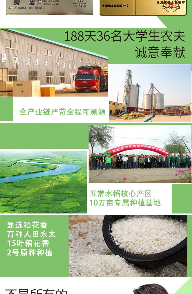 龙稻（LONGDAO） 龙腾一品礼盒（甄选原种稻花香）5kg东北长粒香粳米真空大米10斤