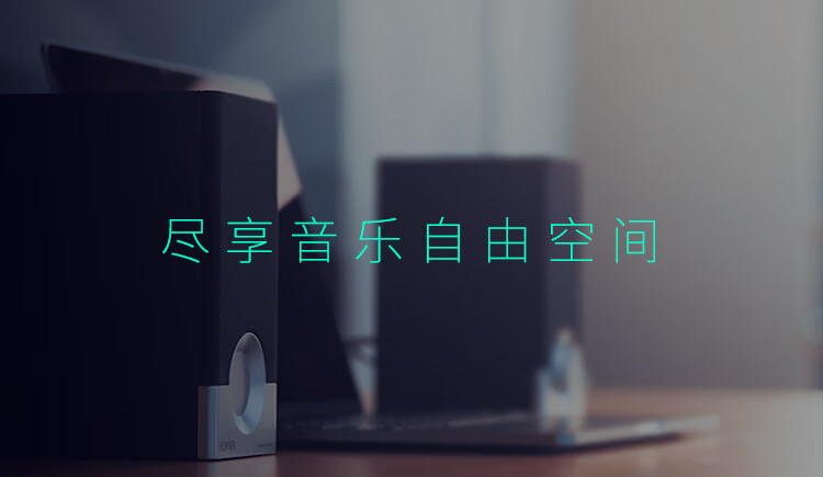 漫步者（EDIFIER）R18T 2.0声道 木质多媒体音响音箱 电脑音响 黑色