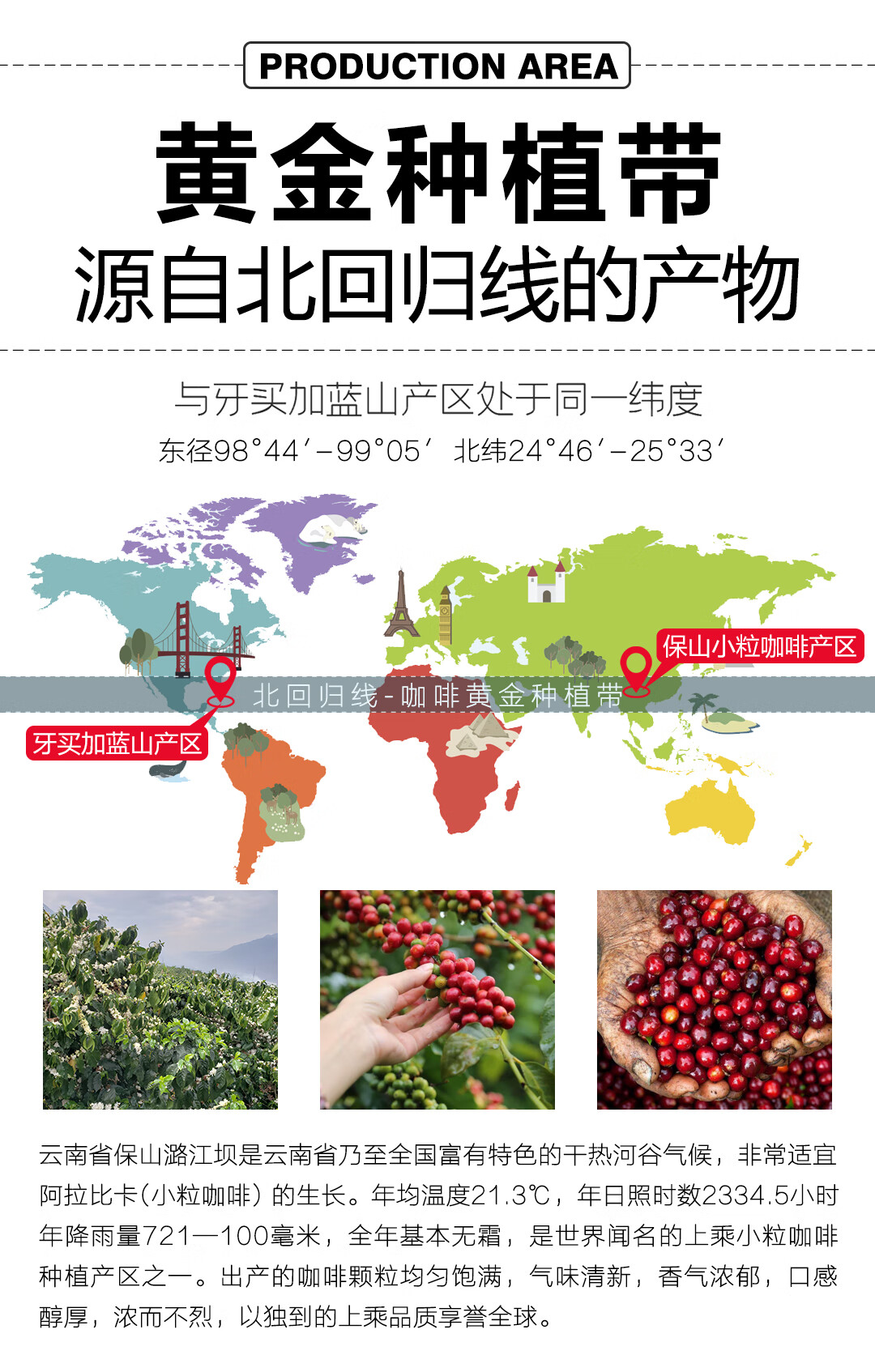景兰（JINGLAN） 85% 新鲜萃取冻干意式咖啡 12罐  盒装