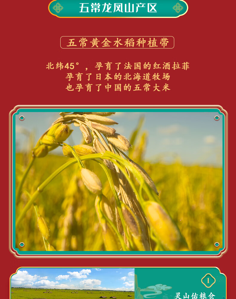 柴火大院年货礼盒 企业员工福利 送礼佳品 五常大米礼盒5kg